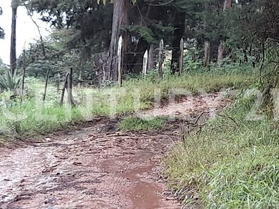 SE VENDE Finca EN DOTA- INVERSIÓN RURAL! — Foto 3