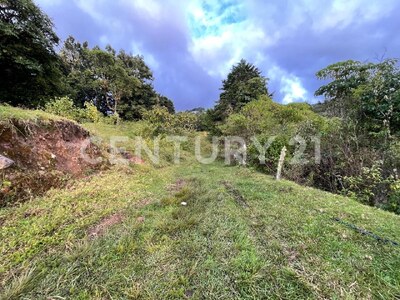 SE VENDE Finca EN DOTA- INVERSIÓN RURAL! — Foto 14