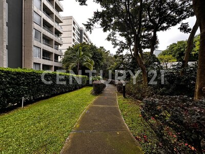 Apartamento en piso 7 con inquilino para inversión  en condominio Bellavista — Foto 24