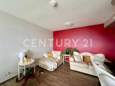 Apartamento en piso 7 con inquilino para inversión  en condominio Bellavista — Foto 4