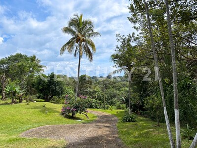 Venta de Casa con apartamento y amplio terreno de uso mixto en El Cacao, Tambor de Alajuela — Foto 3