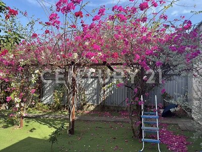 Venta de propiedad en Bagaces, Guanacaste – lista para vivir y generar ingresos. — Foto 25