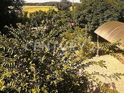 Venta de propiedad en Bagaces, Guanacaste – lista para vivir y generar ingresos. — Foto 27