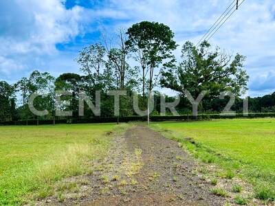 Venta de Quintas en Sarapiquí — Foto 8