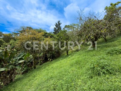 Venta de propiedad en Santa Cruz de Turrialba — Foto 13