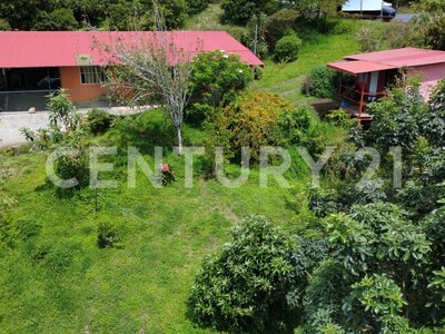 Venta de propiedad en Santa Cruz de Turrialba — Foto 18