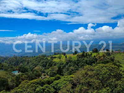 Venta de propiedad en Santa Cruz de Turrialba — Foto 16