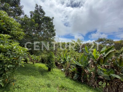 Venta de propiedad en Santa Cruz de Turrialba — Foto 15