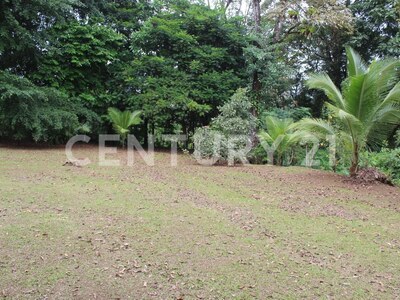 Venta de lote en San Ramon de Peñas Blancas — Foto 8