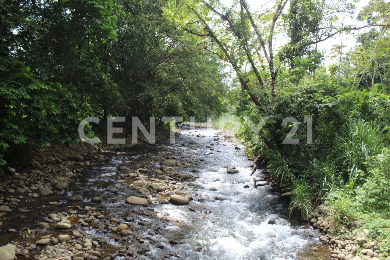 Venta de lote en San Ramon de Peñas Blancas — Foto 2