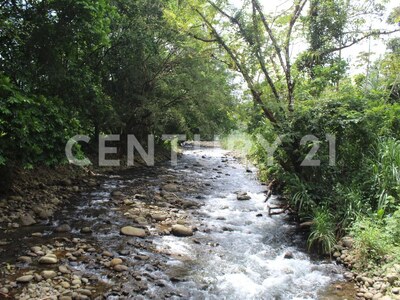 Venta de lote en San Ramon de Peñas Blancas