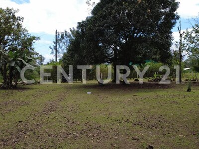 Venta de lote en San Ramon de Peñas Blancas — Foto 7