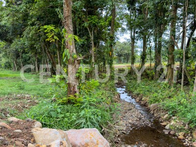 Venta de Lote en Pococí, Buenos Aires — Foto 8