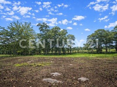 Venta de Lote en Pococí, Buenos Aires — Foto 5