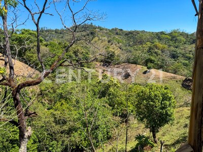 🌿 Venta de lote en Tabarcia de Mora – Versatilidad, naturaleza y alto potencial de desarrollo 🌿 — Foto 8