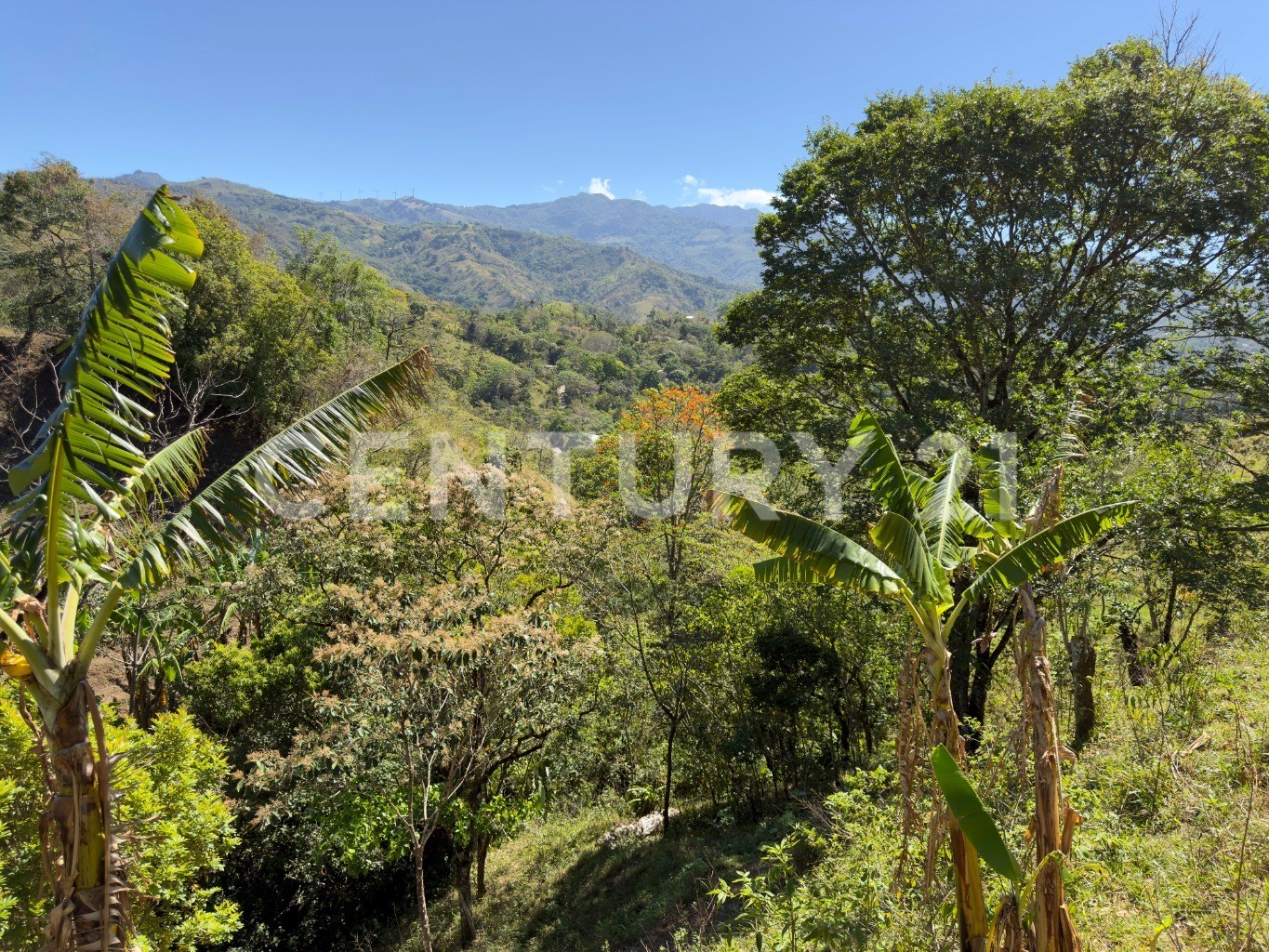 🌿 Venta de lote en Tabarcia de Mora – Versatilidad, naturaleza y alto potencial de desarrollo 🌿 — Foto 7