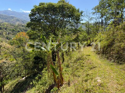 🌿 Venta de lote en Tabarcia de Mora – Versatilidad, naturaleza y alto potencial de desarrollo 🌿 — Foto 6