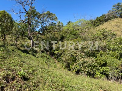 🌿 Venta de lote en Tabarcia de Mora – Versatilidad, naturaleza y alto potencial de desarrollo 🌿 — Foto 5