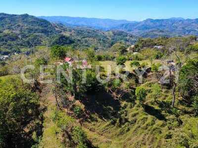 🌿 Venta de lote en Tabarcia de Mora – Versatilidad, naturaleza y alto potencial de desarrollo 🌿 — Foto 2