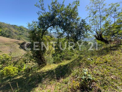 🌿 Venta de lote en Tabarcia de Mora – Versatilidad, naturaleza y alto potencial de desarrollo 🌿 — Foto 3