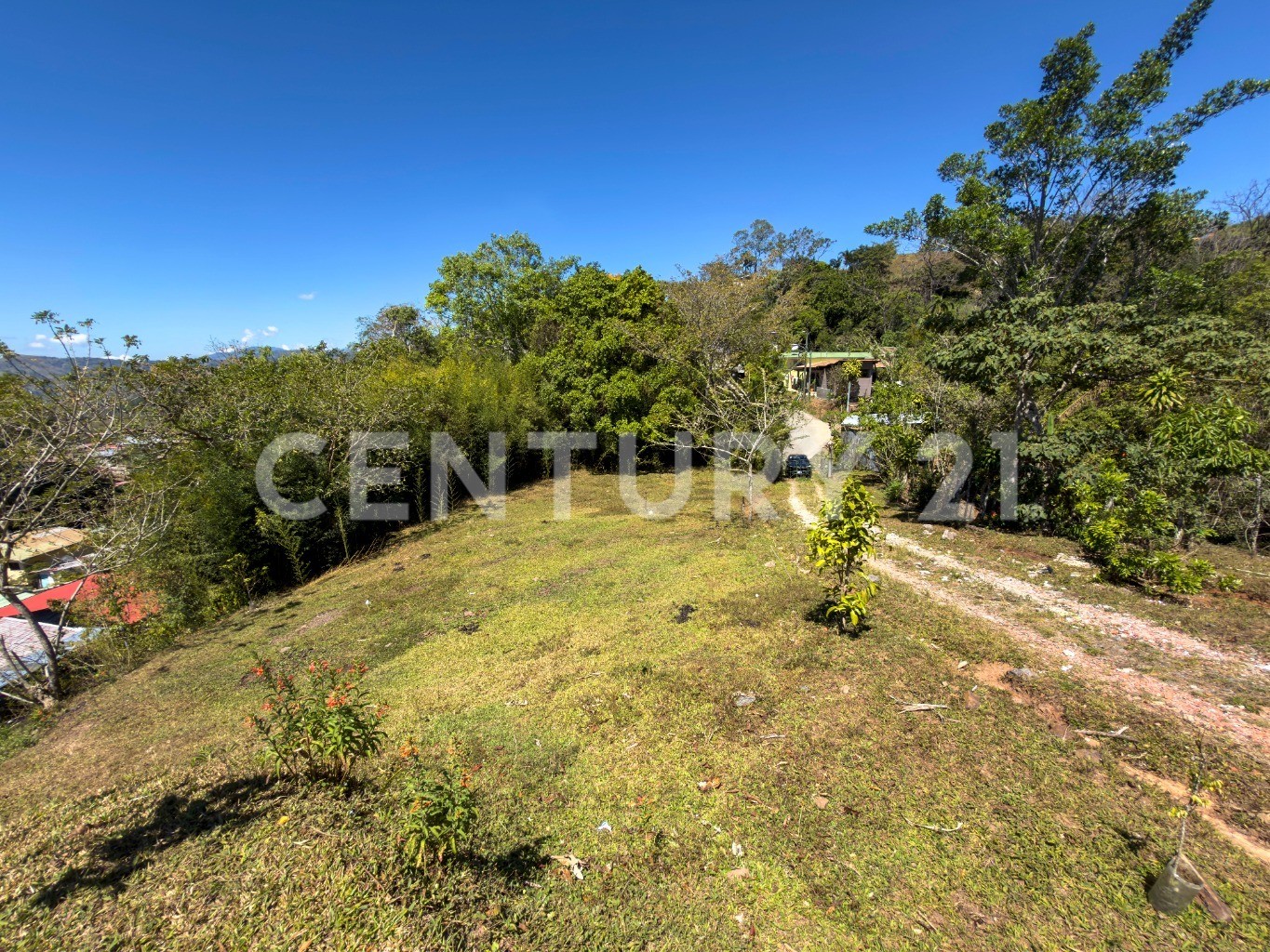 🌿 Venta de lote en Tabarcia de Mora – Versatilidad, naturaleza y alto potencial de desarrollo 🌿 — Foto 4