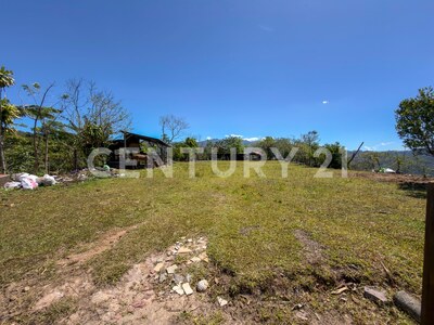 🌿 Venta de lote en Tabarcia de Mora – Versatilidad, naturaleza y alto potencial de desarrollo 🌿 — Foto 11