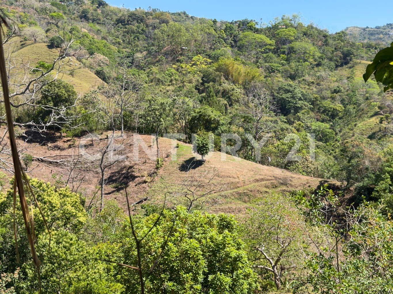 🌿 Venta de lote en Tabarcia de Mora – Versatilidad, naturaleza y alto potencial de desarrollo 🌿 — Foto 9