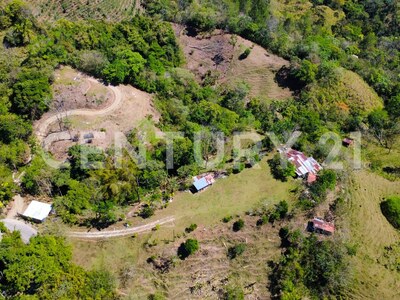 🌿 Venta de lote en Tabarcia de Mora – Versatilidad, naturaleza y alto potencial de desarrollo 🌿 — Foto 15