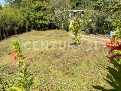 🌿 Venta de lote en Tabarcia de Mora – Versatilidad, naturaleza y alto potencial de desarrollo 🌿 — Foto 10