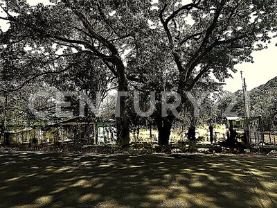 Venta de Lote en La Libertad de Sardinal, Guanacaste. — Foto 11