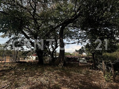 Venta de Lote en La Libertad de Sardinal, Guanacaste. — Foto 10