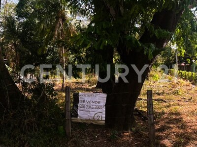 Venta de Lote en La Libertad de Sardinal, Guanacaste. — Foto 8