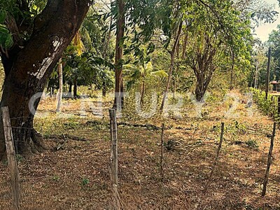 Venta de Lote en La Libertad de Sardinal, Guanacaste. — Foto 7