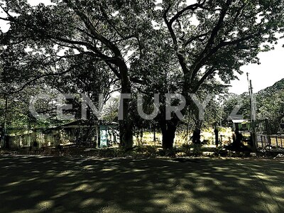 Venta de Lote en La Libertad de Sardinal, Guanacaste. — Foto 3
