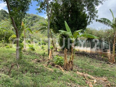 En venta, Quinta en Salitral de Santa Ana en residencial cerrado — Foto 8