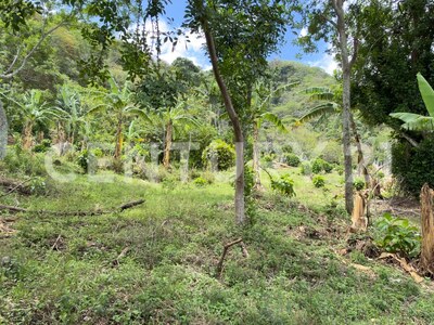 En venta, Quinta en Salitral de Santa Ana en residencial cerrado — Foto 7