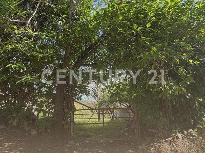 Se vende amplio lote uso residencial en Desamparados — Foto 12