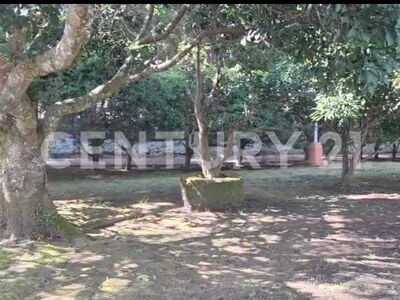 Se vende hermosa finca en Heredia — Foto 8