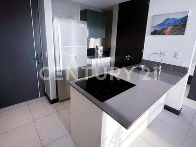 Alquiler de precioso apartamento amoblado en torre Rohrmoser — Foto 3