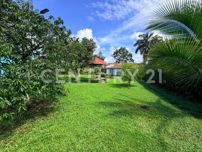 Venta de Casa con apartamento en Pococí, Buenos Aires — Foto 18