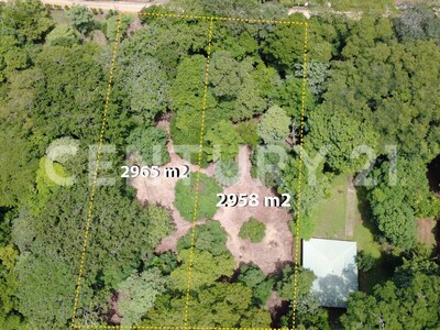 Venta de 2 lotes contiguos en San Mateo de Alajuela — Foto 11