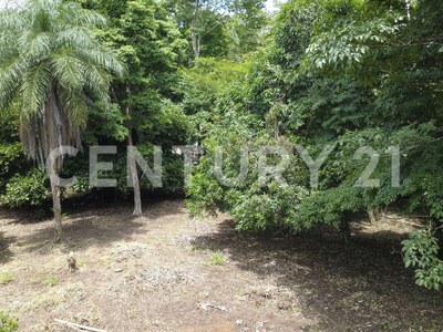 Venta de 2 lotes contiguos en San Mateo de Alajuela — Foto 9