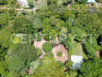 Venta de 2 lotes contiguos en San Mateo de Alajuela — Foto 10