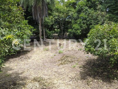 Venta de 2 lotes contiguos en San Mateo de Alajuela — Foto 8