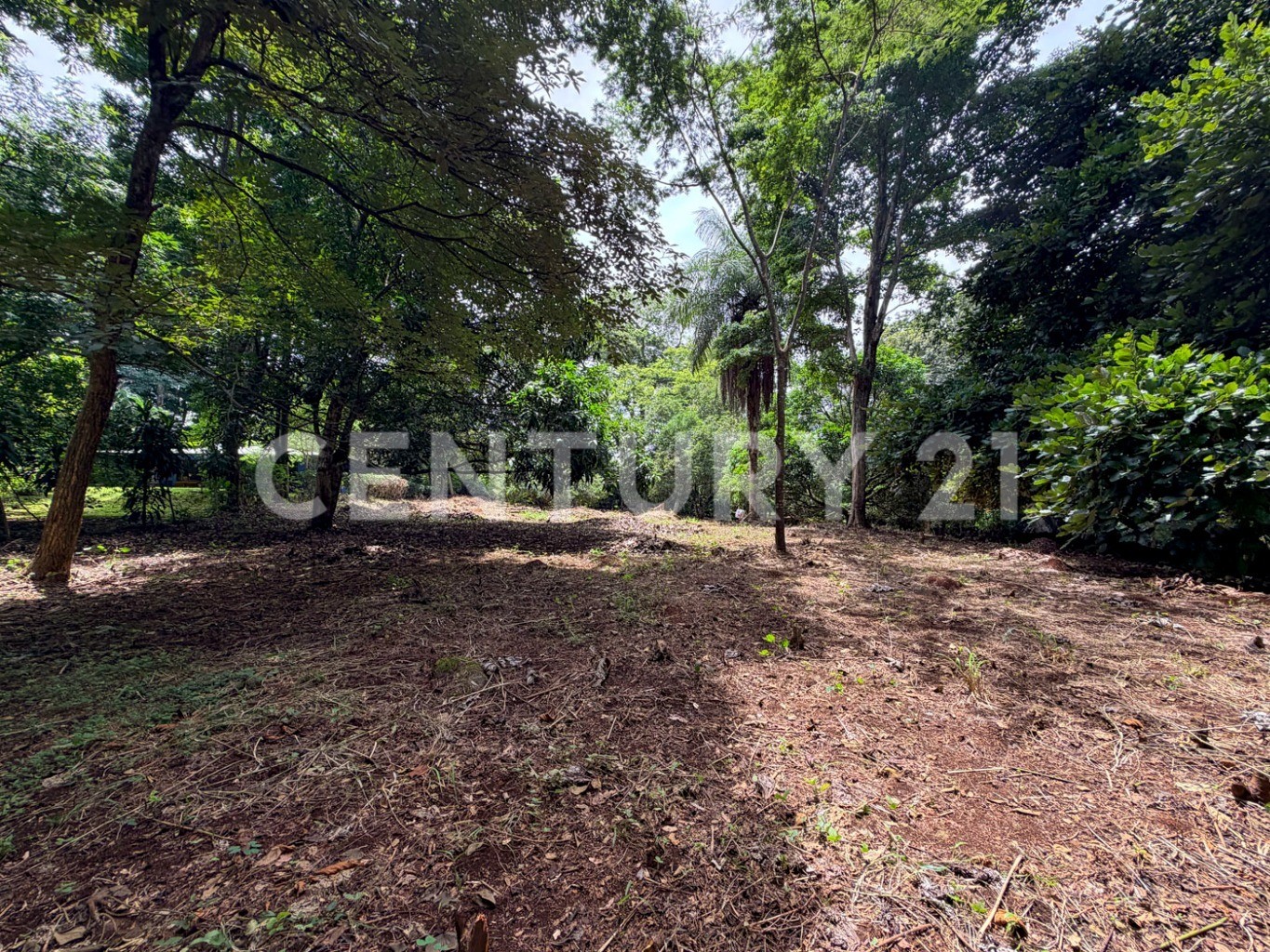 Venta de 2 lotes contiguos en San Mateo de Alajuela — Foto 2