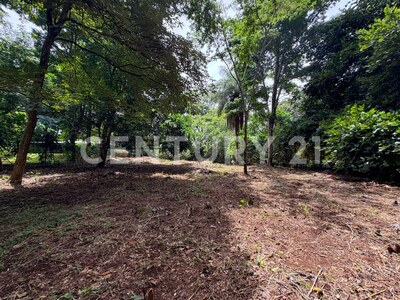 Venta de 2 lotes contiguos en San Mateo de Alajuela