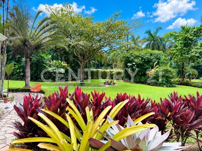 Venta de Casa en terreno de 5.000 m², en condominio del Caribe costarricense — Foto 24