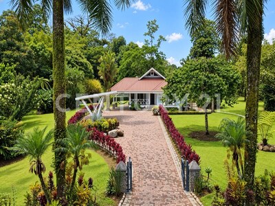 Venta de Casa en terreno de 5.000 m², en condominio del Caribe costarricense — Foto 5