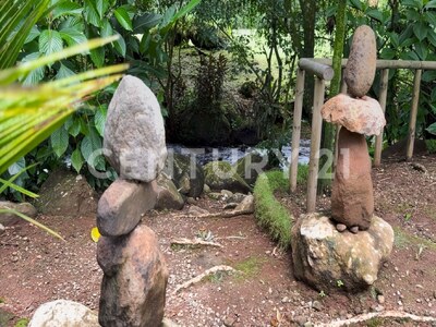 Venta de Casa en terreno de 5.000 m², en condominio del Caribe costarricense — Foto 25
